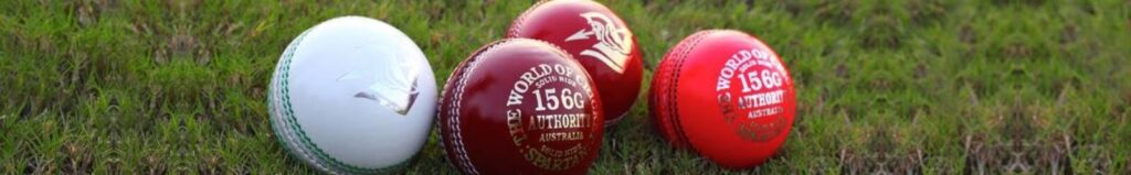 Cricket Punch Balls