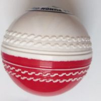 red and white cricket punch ball